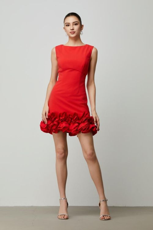 Ruffled Hem Mini Dress