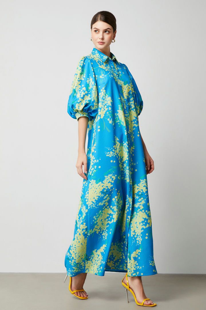 Balloon sleeves printed kaftan