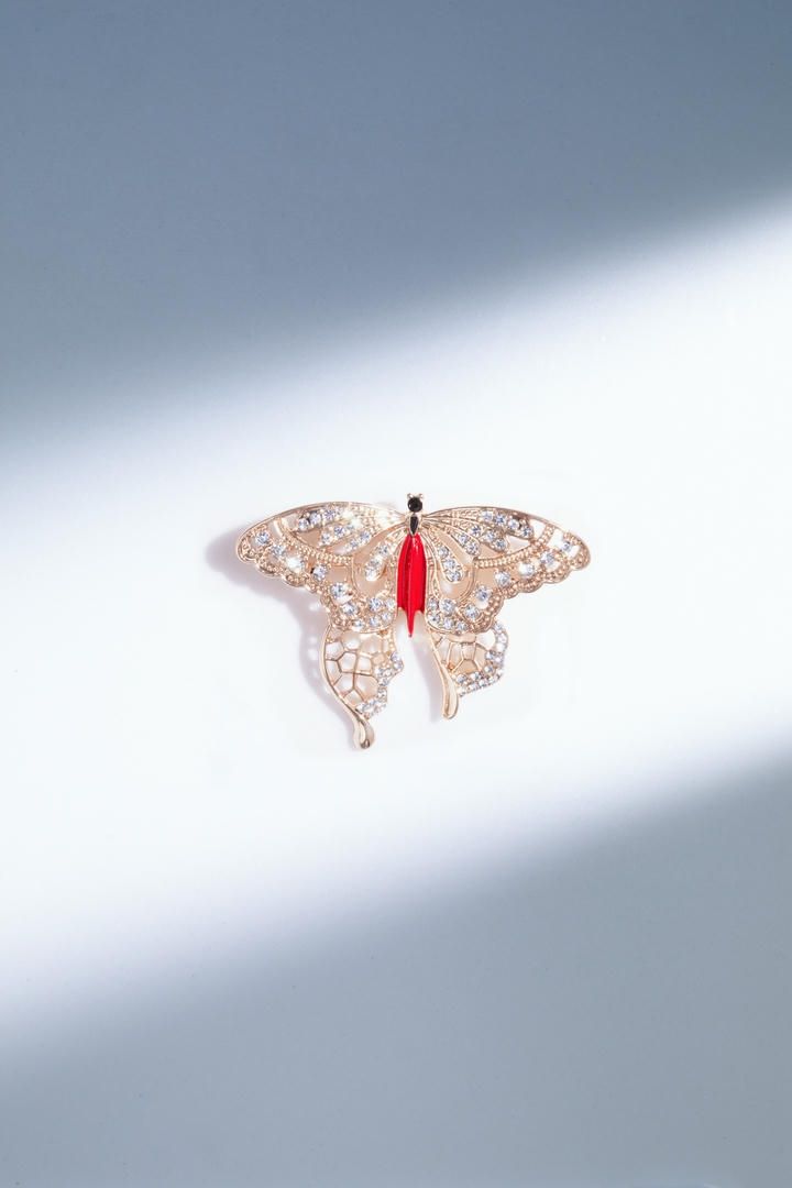 Butterfly design brooch