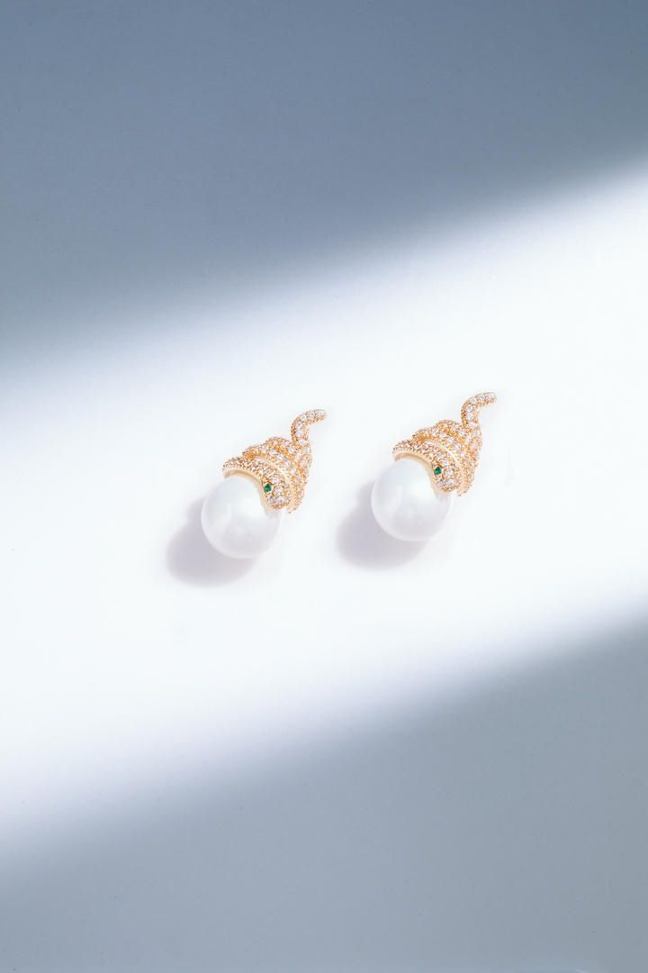 Spiral shape earrings