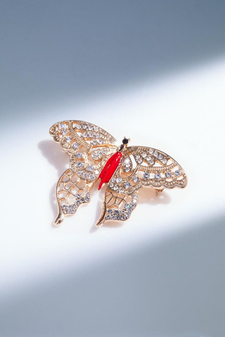 Butterfly design brooch