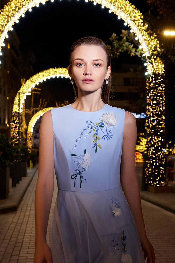 Floral embroidery Dress