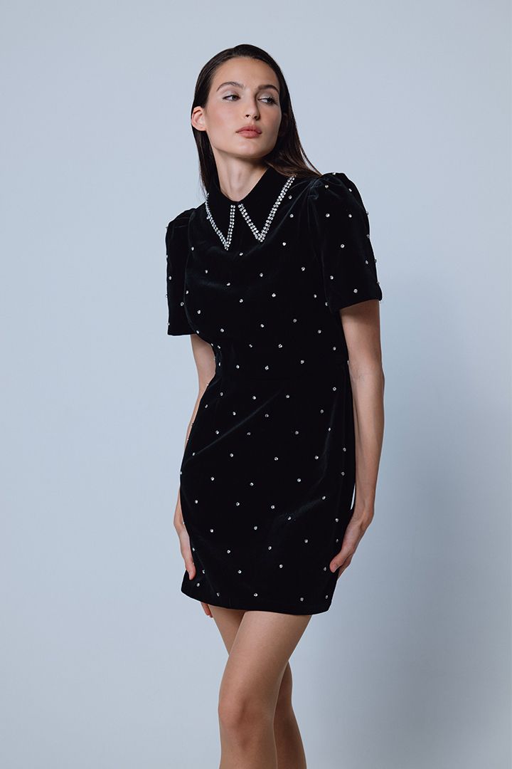 Collar embellishments dress